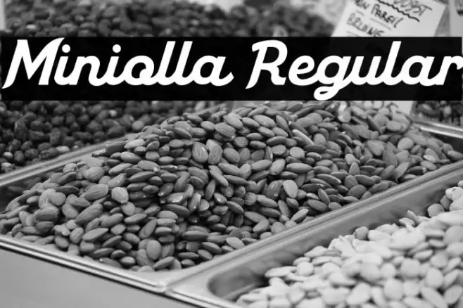 Miniolla Regular Font examples