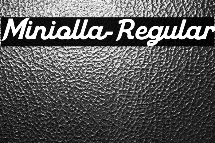 Miniolla-Regular Example 1