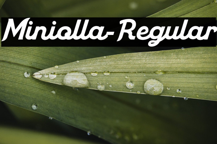 Miniolla-Regular Example 3