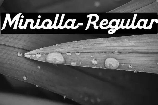 Miniolla-Regular Font examples