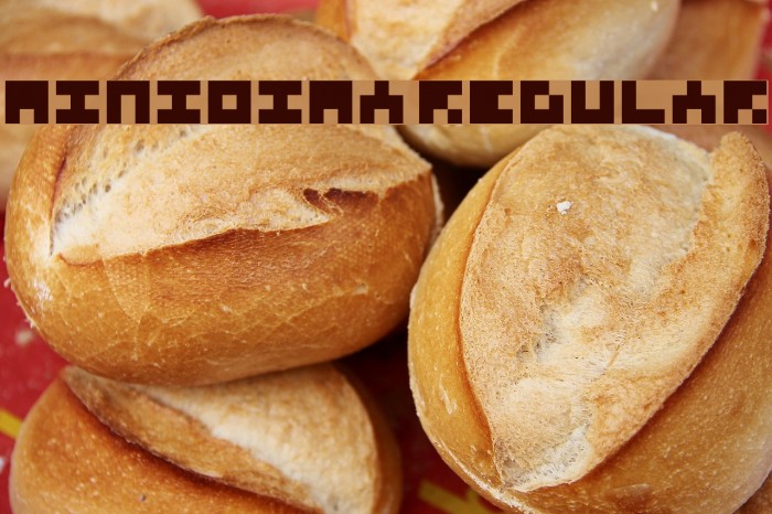 Miniozma Regular Font examples