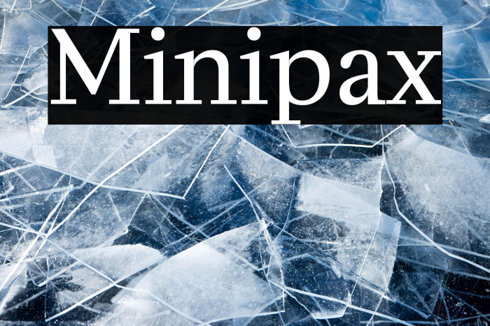 Minipax Example 1