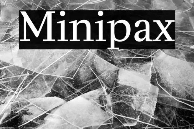 Minipax Example 1