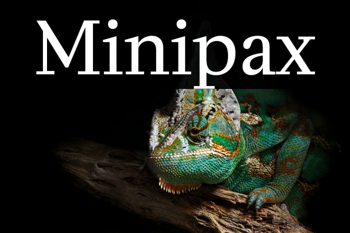 Minipax Example 2