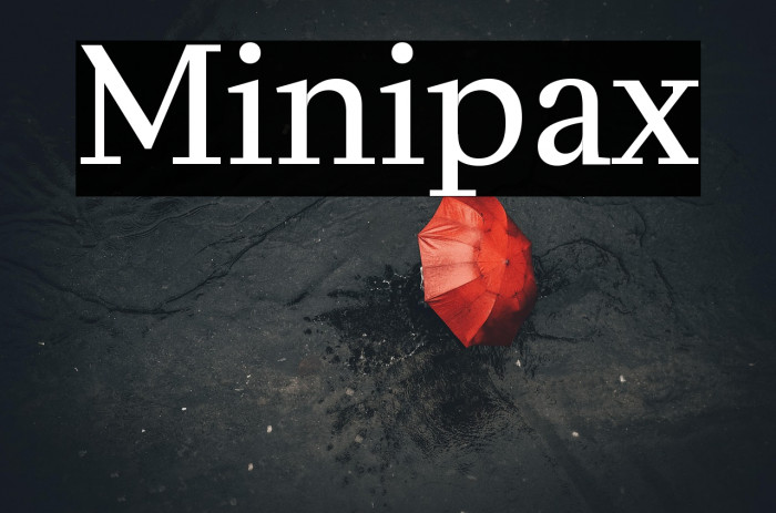 Minipax Example 3
