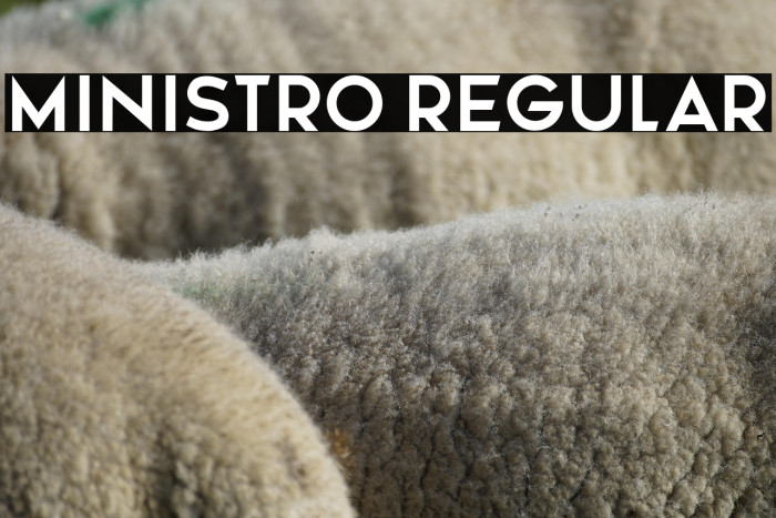 Ministro Regular Example 1