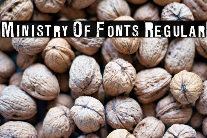 Ministry Of Fonts3 Regular Example 1