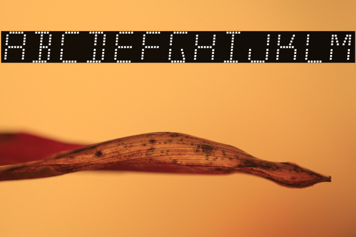 Minisystem-Regular Example 3