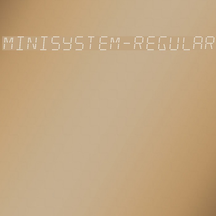 Minisystem-Regular Example 1