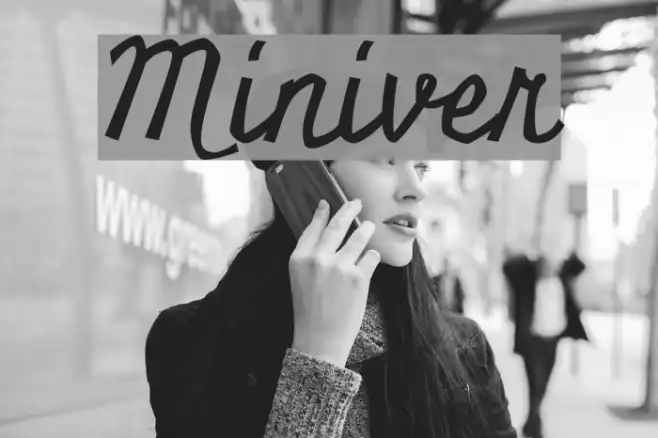 Miniver Example 1