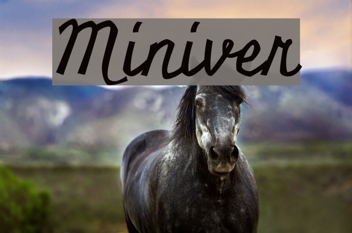 Miniver Fonte examples