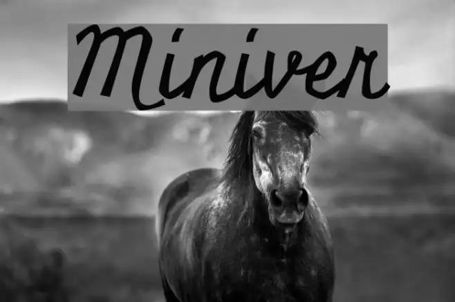 Miniver Example 2