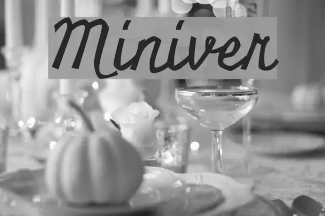 Miniver Example 3