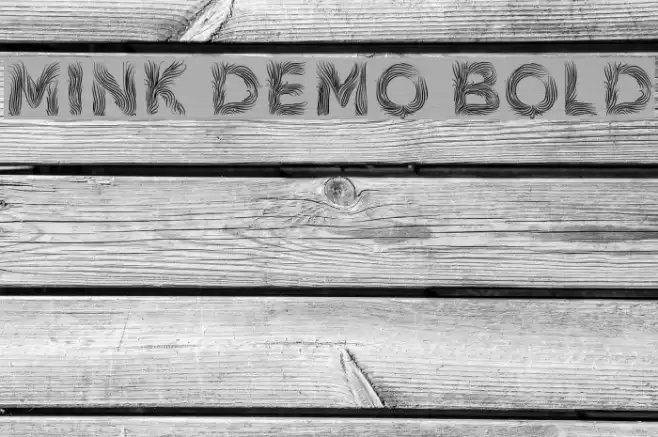 Mink Demo Bold Font examples