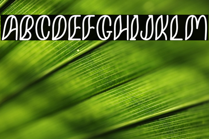 MinkemOutline Example 2