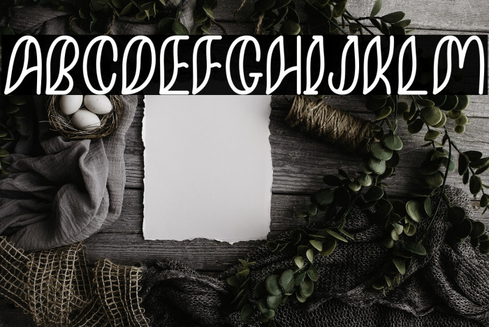 MinkemOutline Example 3