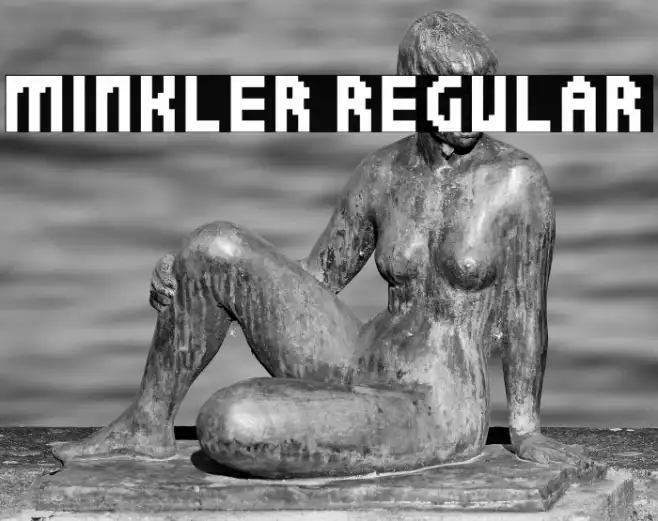 Minkler Regular Example 1