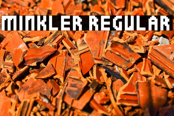 Minkler Regular Example 2