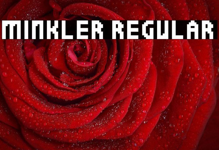 Minkler Regular Example 3