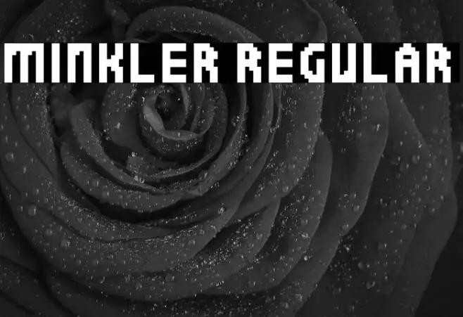 Minkler Regular Example 3