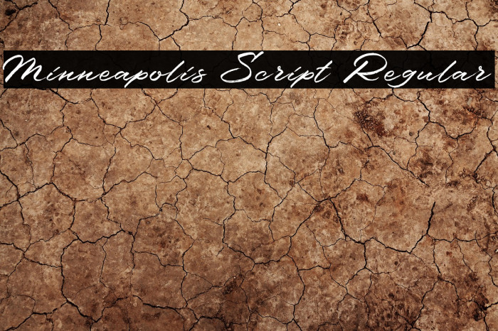 Minneapolis Script Regular Example 3