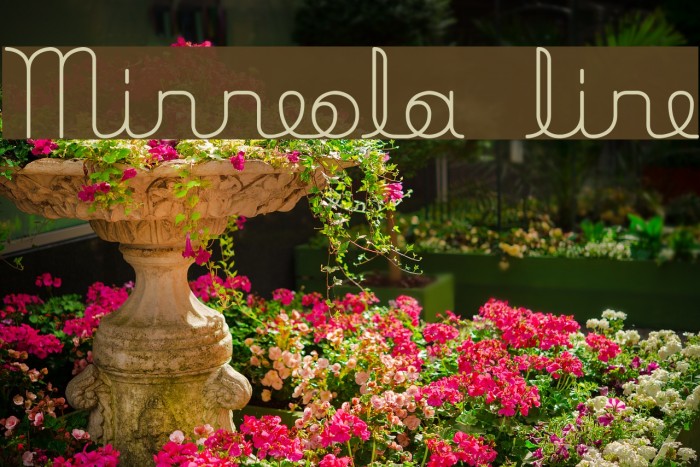 Minneola line Font examples
