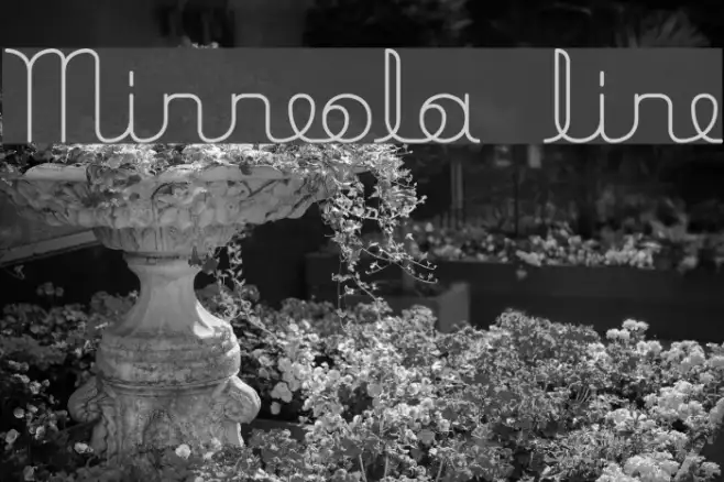 Minneola line Example 2