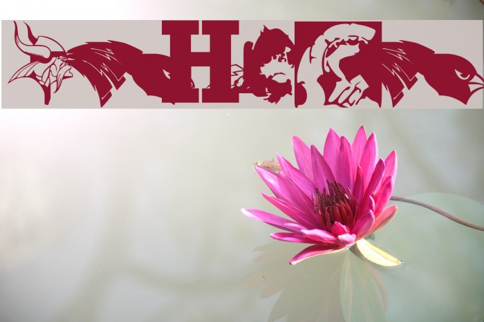 Minnesota High School Logos first font Regular Font examples