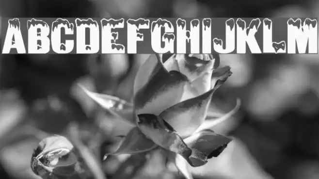 Minnesota Normal Schriftart examples