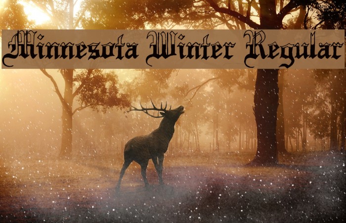 Minnesota Winter Regular Font examples
