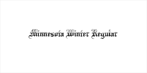Minnesota Winter Regular Logo