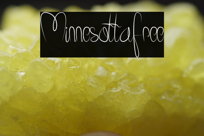 Minnesottafree Example 1