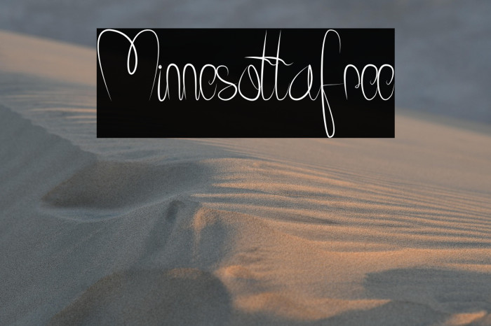 Minnesottafree Example 3