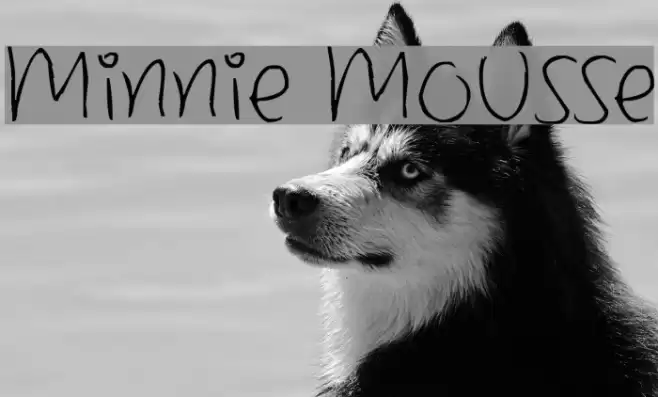 Minnie Mousse Font examples