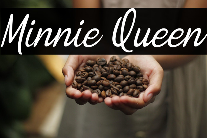 Minnie Queen Example 1