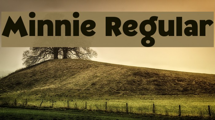 Minnie Regular Font examples