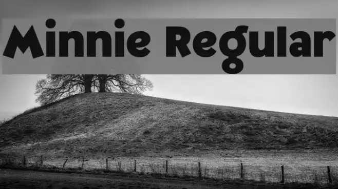 Minnie Regular Example 1