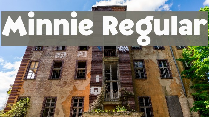 Minnie Regular Font examples