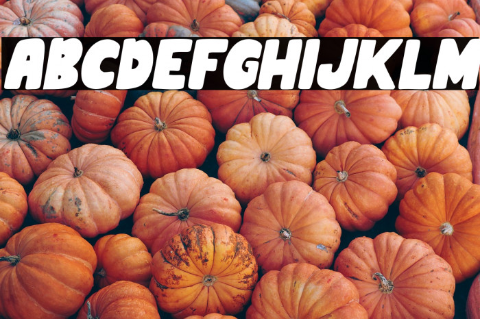 MinnioItalic-Italic Example 3