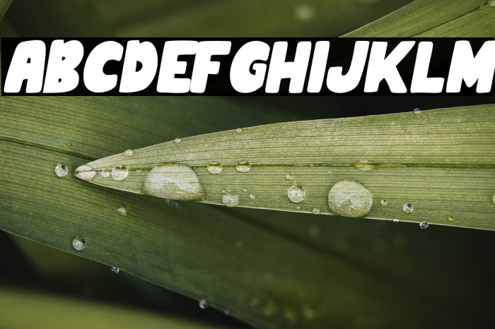 MinnioItalic-Italic Example 1