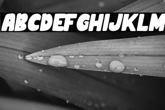 MinnioItalic-Italic Schriftart examples