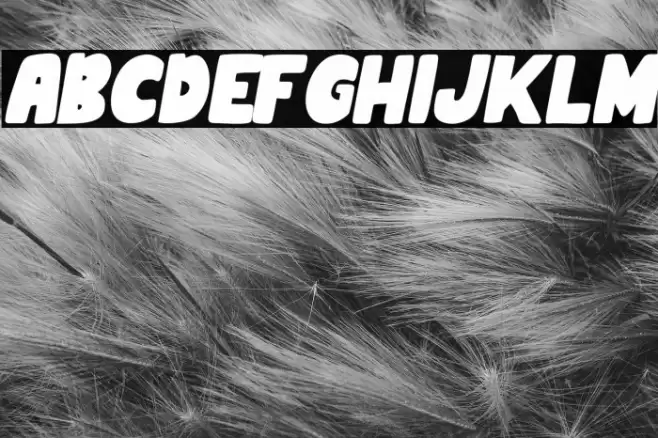 MinnioItalic-Italic Schriftart examples