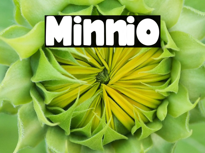 Minnio Example 1