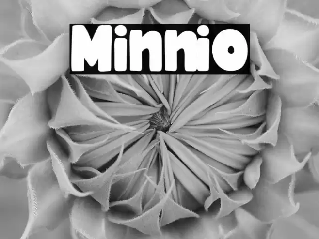 Minnio Font examples