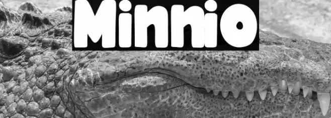 Minnio Font examples