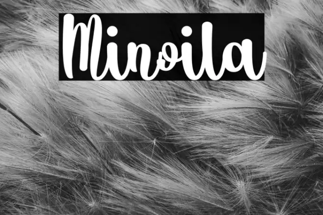 Minoila Example 1