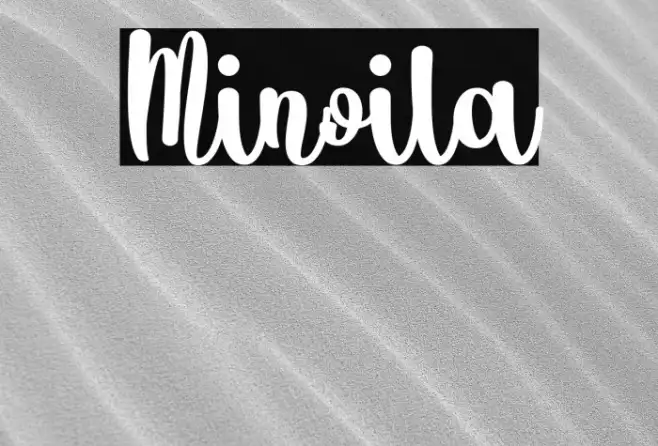 Minoila Example 2