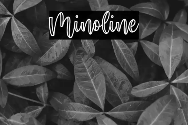 Minoline Example 1