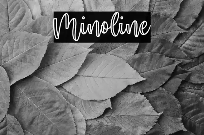 Minoline Example 2