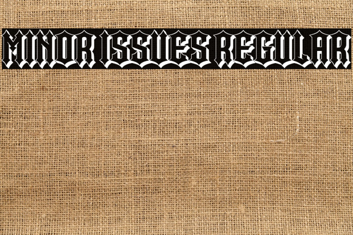 Minor Issues Regular Example 1